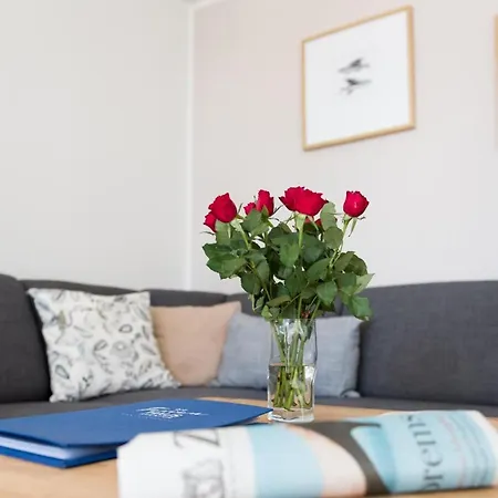 Ferienhaus Kompass Olpenitz